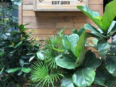 -Elephant Grounds(STARSTREET)