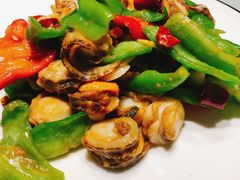 尖椒扇贝肉-船歌·鱼水饺青岛菜(闽江二路店)