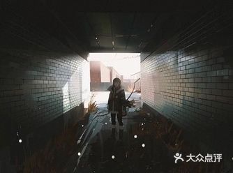 插画师笔下的少女的奇遇