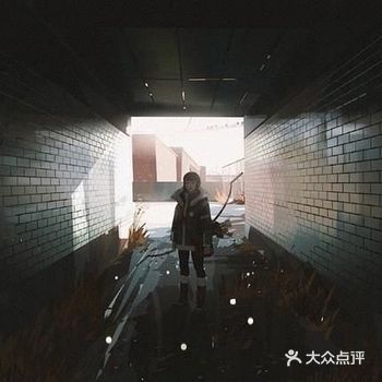 插画师笔下的少女的奇遇