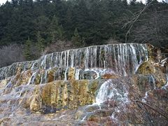 -黄龙山原始森林景区