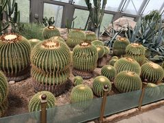 -北京植物园-展览温室