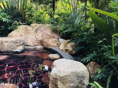 -美的鹭湖森林度假区