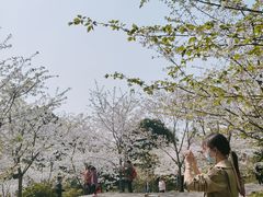 -南山植物园