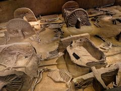 -洛阳周王城天子驾六博物馆