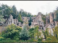 -长虫山生态公园风景林