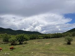 -半拉山景区