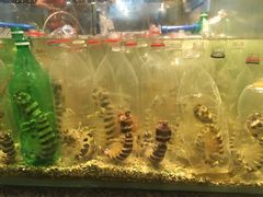 -Isla Sugbu Seafood City