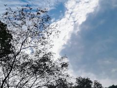 -无锡梅园公园