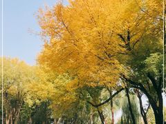 -玲珑塔公园