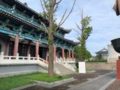-东方大寿星园