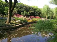 -陈家山荷花公园