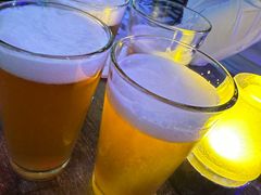 -Famous肥猫墨西哥音乐餐吧(五棵松华熙LIVE店)