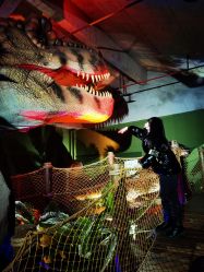 -恐龙探索乐园(磁器口店)