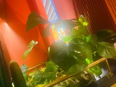 -墨纪Mojí墨西哥餐厅(南开大悦城店)