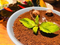 -老板恋上鱼(印象城店)