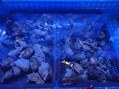 -红门金汤·港式火锅(英皇集团中心店)