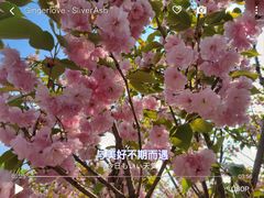 -长白岛森林公园