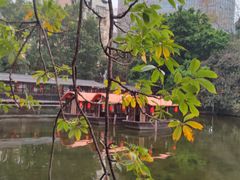 -侨美·唐荔园·40年地道粤菜