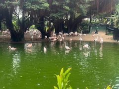 -九龙公园