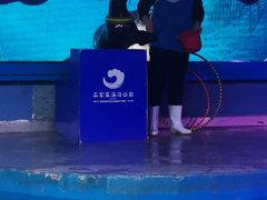 -石家庄海洋公园