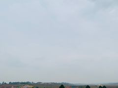 -空港花田景区