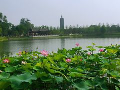 -西海子公园