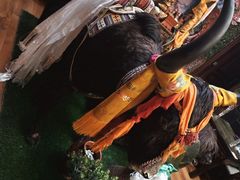 -吉祥圣雪藏餐