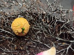 -大拙里·精致融合菜(沙湖桃源国际店)