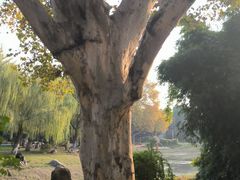 -堤角公园