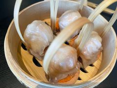 招牌虾饺皇-金鼎轩(鸟巢北辰荟店)