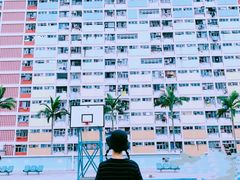 -彩虹村