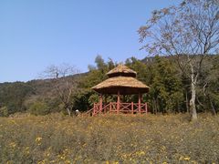 -广州市石门国家森林公园