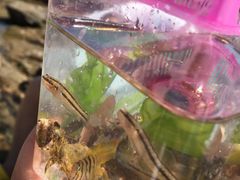 -青岛第三海水浴场