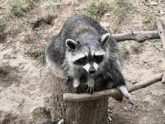 -辛玛王国游乐园