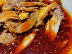 -土桥手掌鸡·26年灌县老味道(都江堰店)