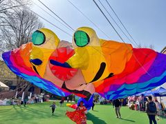 -西安电影制片厂