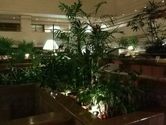 -西安阿房宫维景国际大酒店