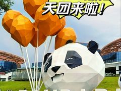 -成都大熊猫繁育研究基地