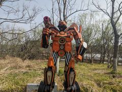 -杭州湾海上花田景区