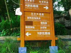 -广州市流溪河国家森林公园