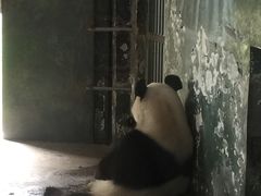 -临沂动植物园