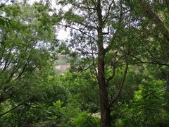 -碓臼峪自然风景区