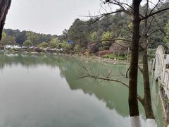 -铁山坪森林公园