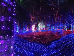 -哈尔滨文化公园