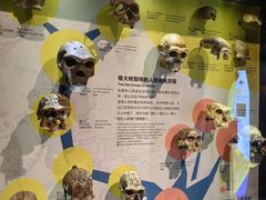 -正佳自然科学博物馆
