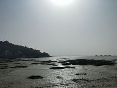 -汤山公园
