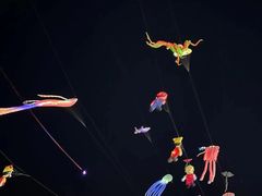 -巨鹏飞梦幻海岸