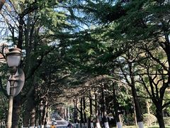 -八大关景区