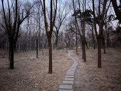 -长春市南湖公园